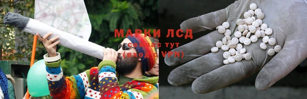 крисы Алзамай