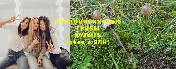 дмт Алексеевка