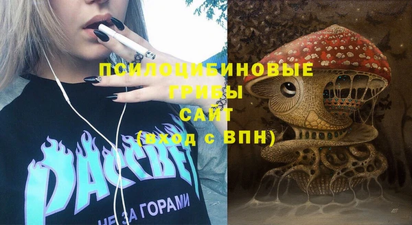 крисы Алзамай