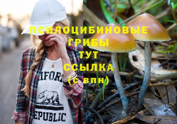 крисы Алзамай